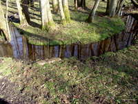 [Bild]